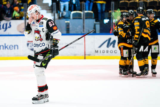 Malmö Redhawks Fredrik Händemark deppar