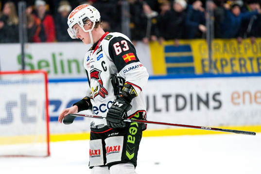 Malmö Redhawks Fredrik Händemark deppar