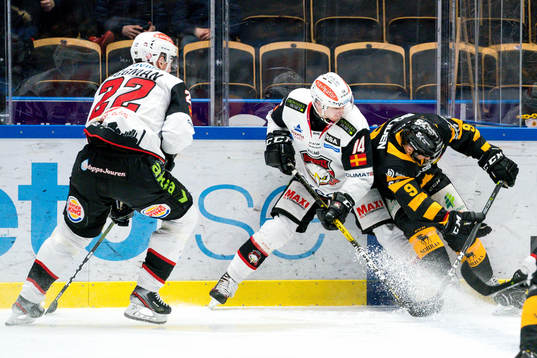 Skellefteås Darren Nowick