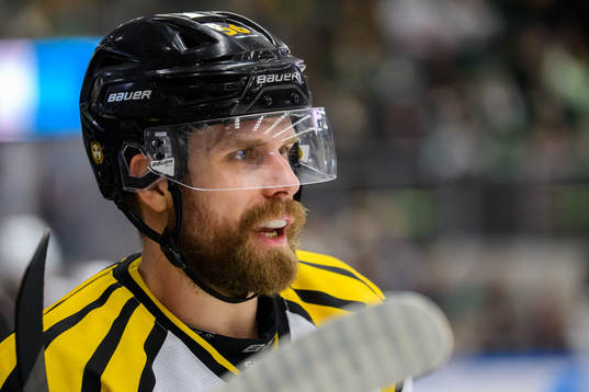 Brynäs Jonathan Sigalet