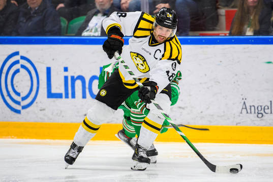 Brynäs Anton Rödin