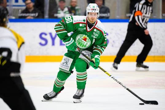Rögles Ted Brithén