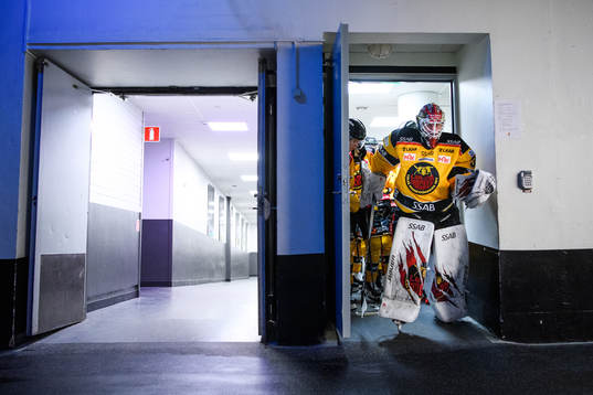 Luleås målvakt David Rautio
