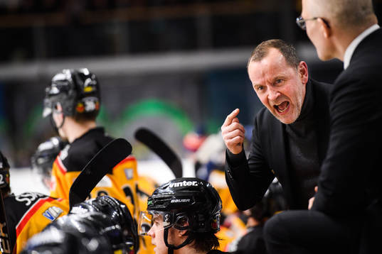 Luleås tränare Thomas Berglund