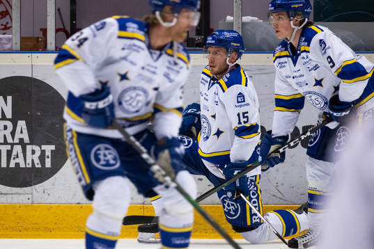 Leksands Matt Carey