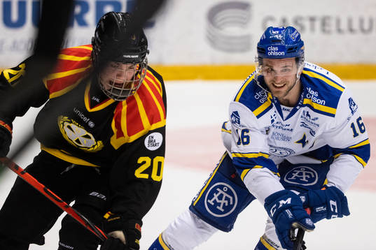 Brynäs Alexander Ljungkrantz och Leksands Daniel Gunnarsson