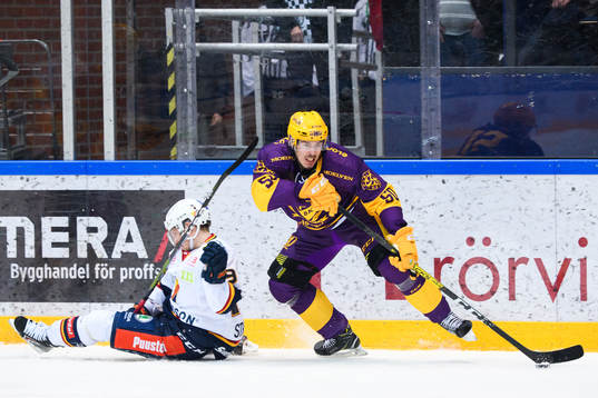 Djurgårdens Sebastian Strandberg och Färjestads Sebastian