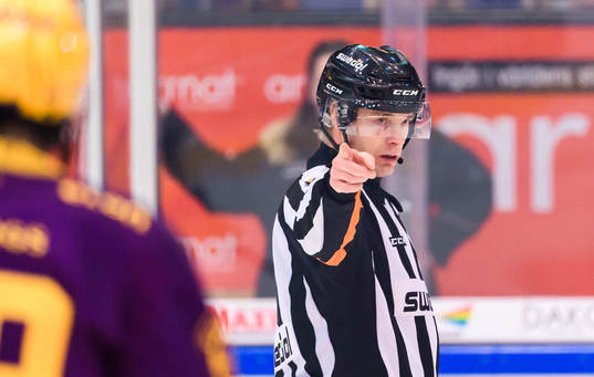 Domare Mikael Andersson