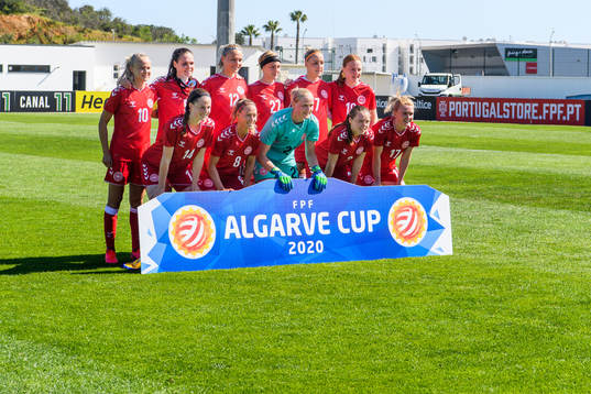 Players of Denmark line up
