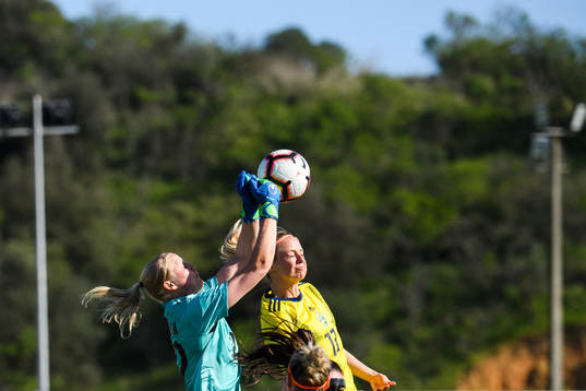 Goalkeeper Kathrine Larsen of Denmark and Amanda Ilestedt