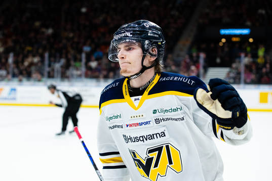 Bläddra bland fler bilder av Ishockey, SHL, Frölunda - HV71