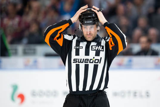 Domare Mikael Sjöqvist
