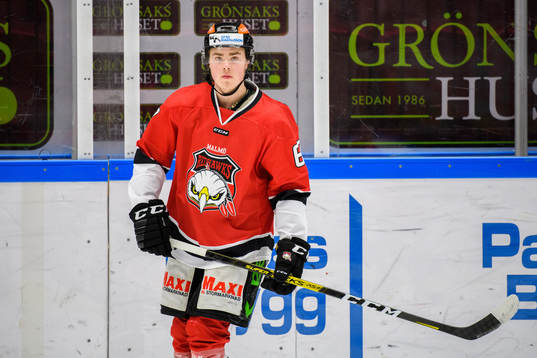 Malmö Redhawks Liam Nilsson