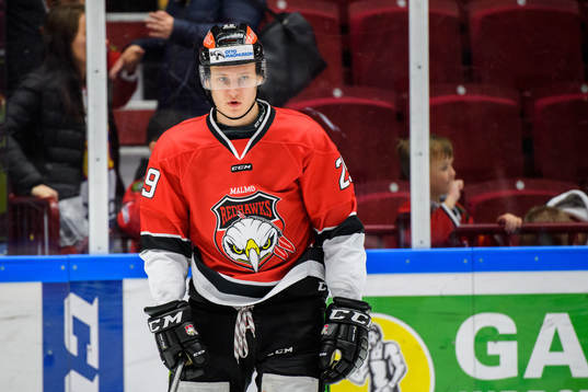Malmö Redhawks Eric Engstrand