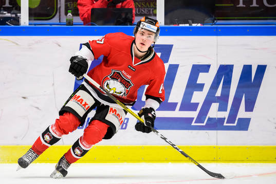 Malmö Redhawks Liam Nilsson