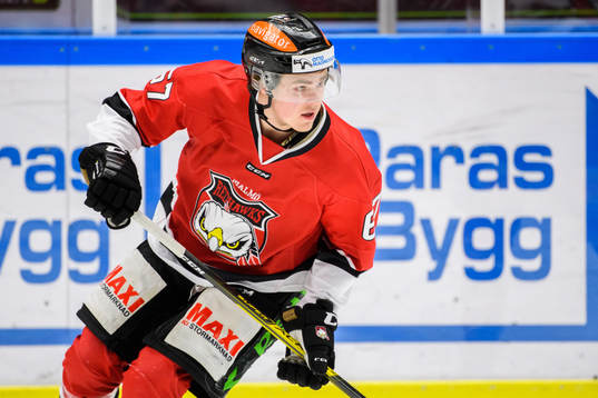 Malmö Redhawks Liam Nilsson