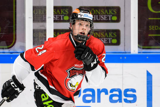 Malmö Redhawks Anton Olsson
