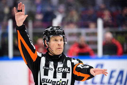 Domare Tobias Björk