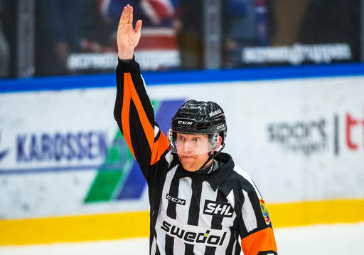 Domare Mikael Holm