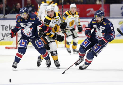 Linköpings Jonas Holös