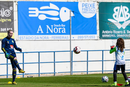 Goalkeeper Hedvig Lindahl