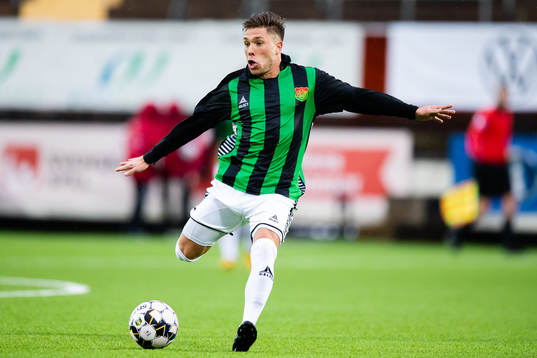 Gais Nikola Ladan