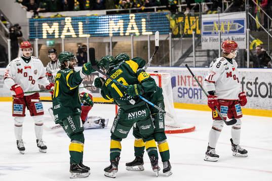 Björklöven jublar