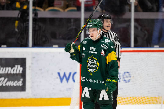 Björklövens Adam Plant deppar