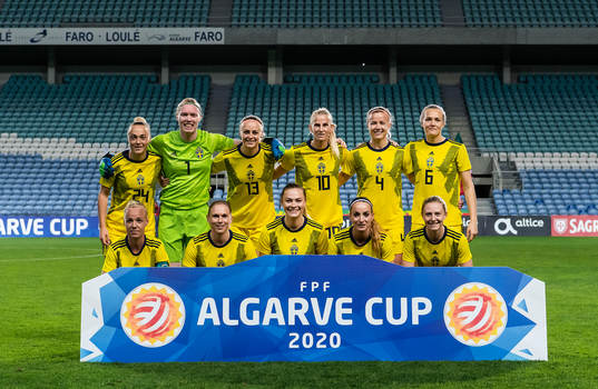 Players of Sweden line up for a team photo