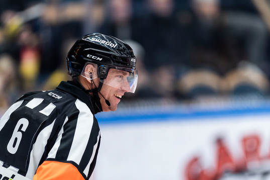 Domare Sören Persson