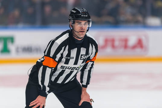 Domare Richard Magnusson