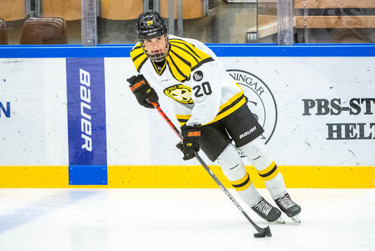 Brynäs Alexander Ljungkrantz