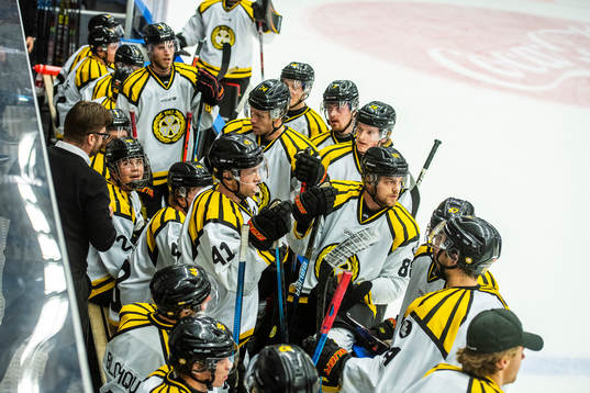 Brynäs spelare deppar