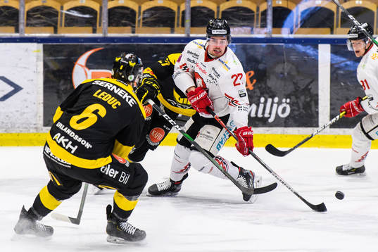 Vita Hästens Arvid Degerstedt