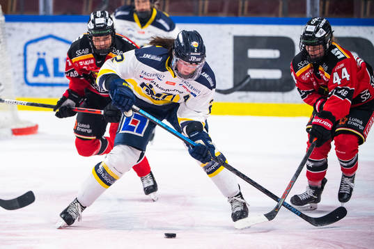 s Rosa Lindstedt