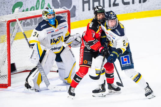 s Rosa Lindstedt