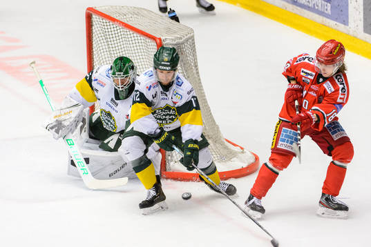 Björklövens målvakt Joe Cannata och Brian Cooper mot