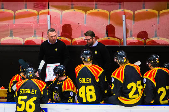 Brynäs assisterande tränare Mikael Holmqvist