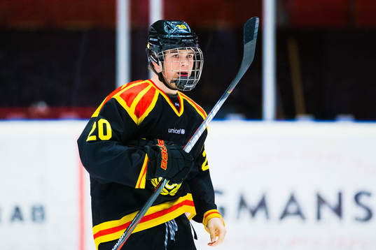 Brynäs Alexander Ljungkrantz