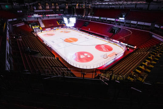 Monitor ERP Arena