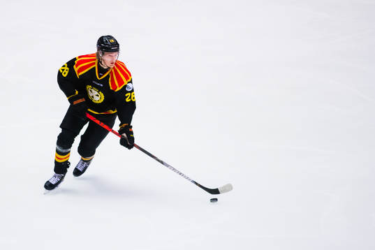 Brynäs Oskar Kvist