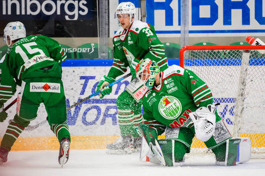 Rögles målvakt Roman Will deppar