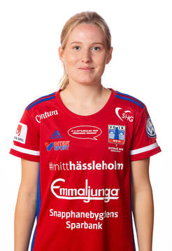 Vittsjös Saga Jontoft