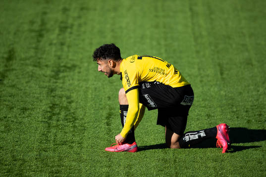 Häckens Daleho Irandust knyter skon
