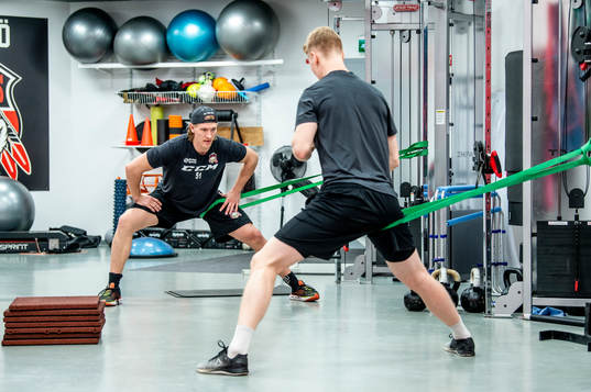 Bläddra bland fler bilder av Ishockey, Malmö Redhawks, Återsamling