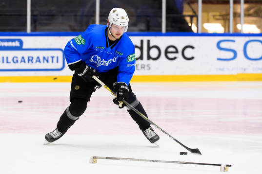 Anton Blidh, Boston Bruins