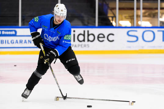 Anton Blidh, Boston Bruins