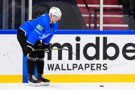 Anton Blidh, Boston Bruins