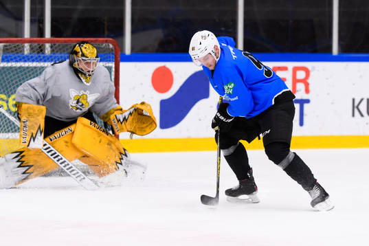 Anton Blidh, Boston Bruins