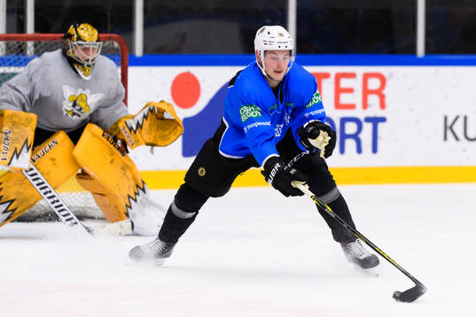 Anton Blidh, Boston Bruins